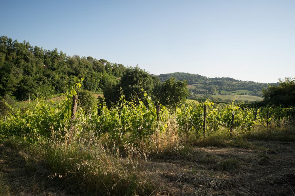 B&B Le Dimore Mezza Costa San Casciano in Val di Pesa Exterior foto
